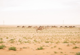 Le désert, le corp, la route... un voyage en quête de la santé sexuelle et reproductive des femmes @UNFPA/Gaia Squarci