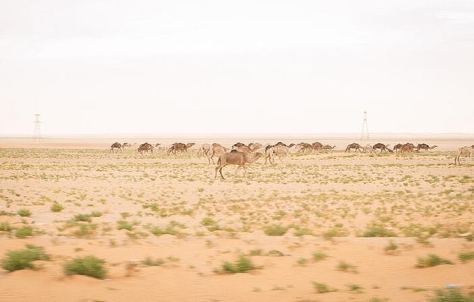 Le désert, le corp, la route... un voyage en quête de la santé sexuelle et reproductive des femmes @UNFPA/Gaia Squarci