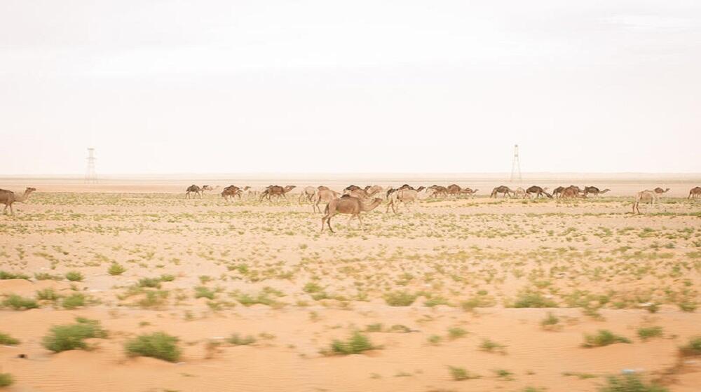 Le désert, le corp, la route... un voyage en quête de la santé sexuelle et reproductive des femmes @UNFPA/Gaia Squarci